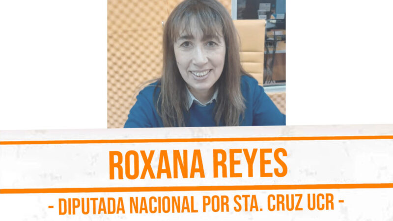 Diputada Nacional Roxana Reyes y la gestión en el congreso nacional