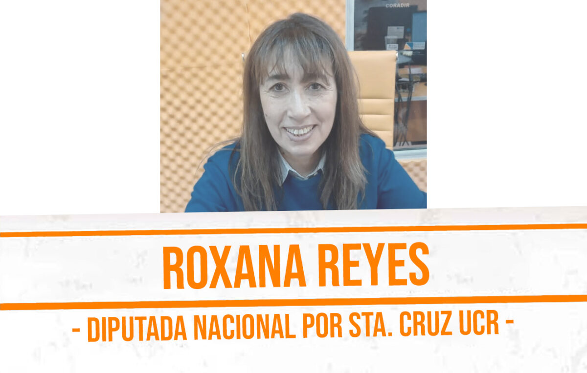 Diputada Nacional Roxana Reyes y la gestión en el congreso nacional